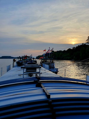 © Wolfgang K. 30.08.2024 19:24 Uhr