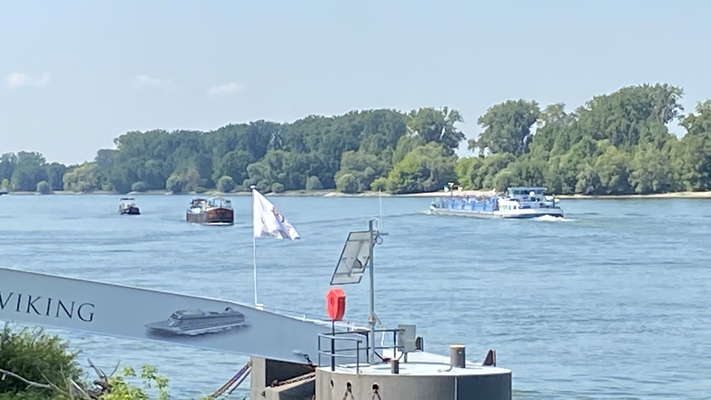 Gernsheim (© 13.08.2024 Richie)