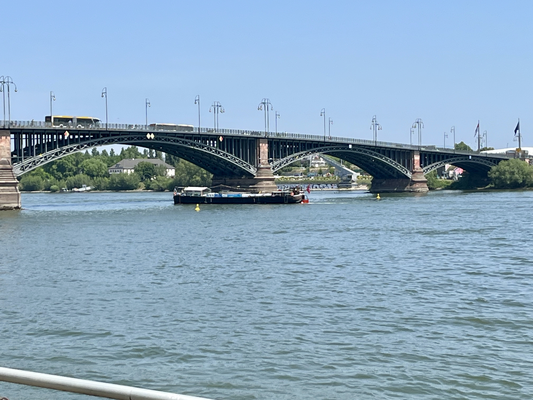 WILLI bei der Theodor-Heuss-Brücke © 14.06.2025 EDA