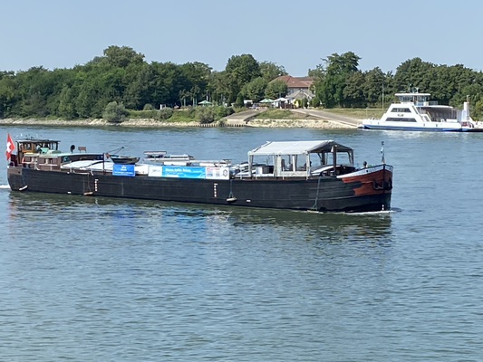 Gernsheim (© 13.08.2024 Richie)