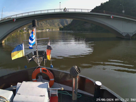 Treis-Karden, Moselbrücke Karden (© 29.08.2024 reolink Bugkamera)