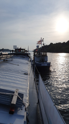 © Wolfgang K. 30.08.2024 18:57 Uhr