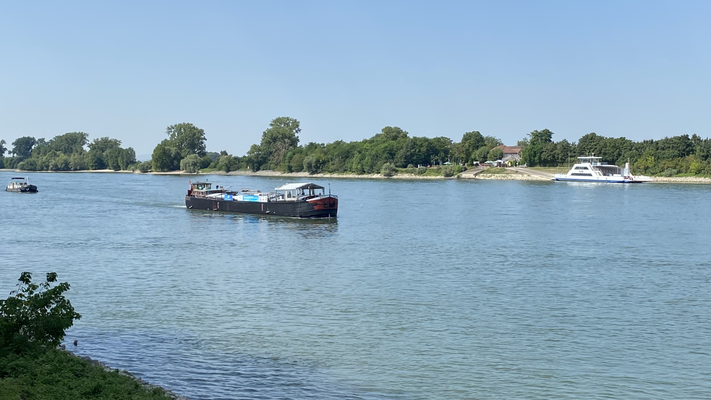 Gernsheim (© 13.08.2024 Richie)