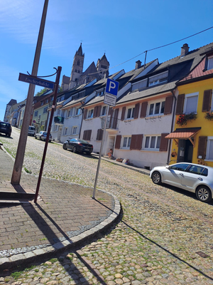 Breisach am Rhein (© 10.08.2024 Annelie F.)