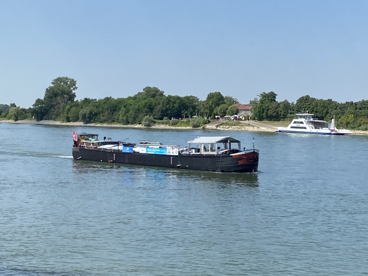 Gernsheim (© 13.08.2024 Richie)