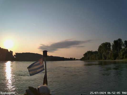 Speyer zu Berg bei Rhein-km 399