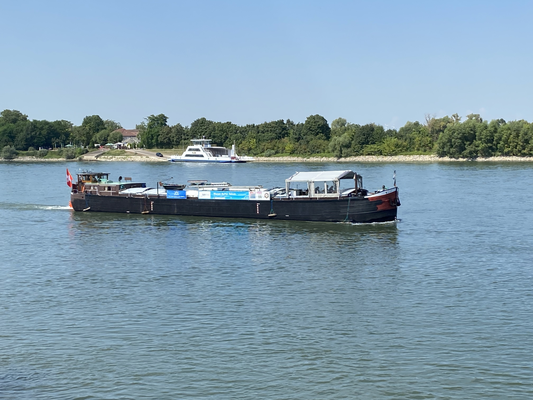 Gernsheim (© 13.08.2024 Richie)