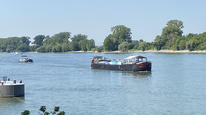 Gernsheim (© 13.08.2024 Richie)