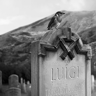 Luigi's grave and birdy. May he rest in peace.