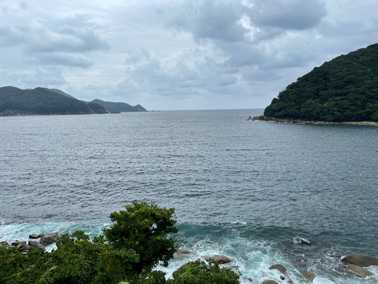 梶賀の海 釣えさのイワキ 三重県津市の釣りエサ屋 釣具屋 梶賀の海 釣えさのイワキ 三重県津市の釣りエサ屋 釣具屋