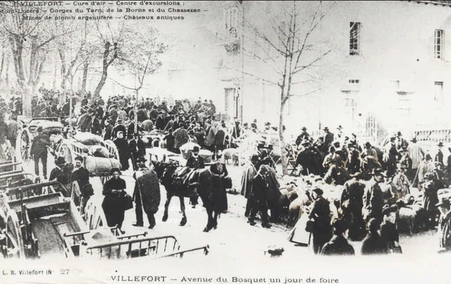 Place du Bosquet