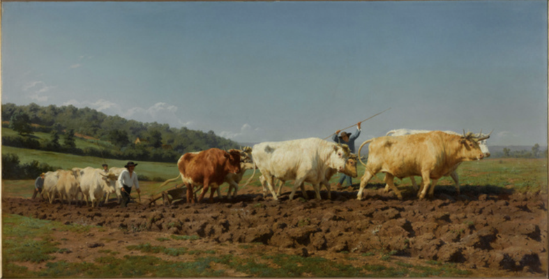 Rosa Bonheur : Labourage nivernais