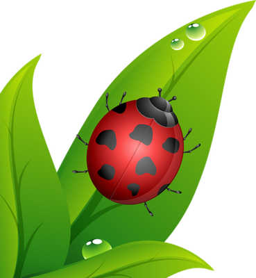 coccinelle - insecte - animaux - smiley émoticône émoji cartoon clipart illustration - artémotic
