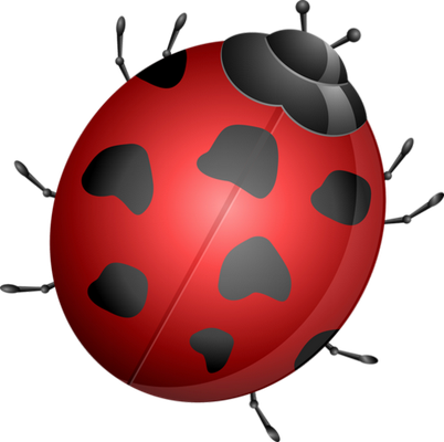 coccinelle - insecte - animaux - smiley émoticône émoji cartoon clipart illustration - artémotic