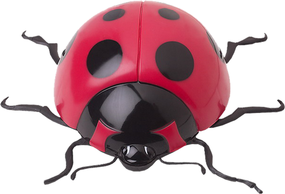coccinelle - insecte - animaux - smiley émoticône émoji cartoon clipart illustration - artémotic