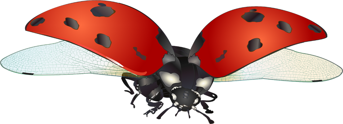 coccinelle - insecte - animaux - smiley émoticône émoji cartoon clipart illustration - artémotic
