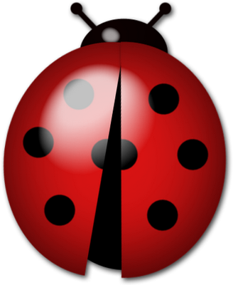 coccinelle - insecte - animaux - smiley émoticône émoji cartoon clipart illustration - artémotic