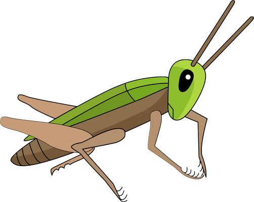 sauterelle - insecte - animaux - smiley émoticône émoji cartoon clipart illustration - artémotic