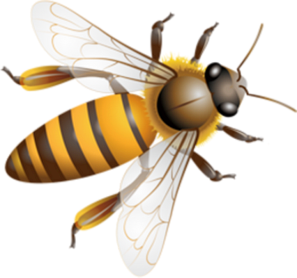 guêpe - insecte - animaux - smiley émoticône émoji cartoon clipart illustration - artémotic