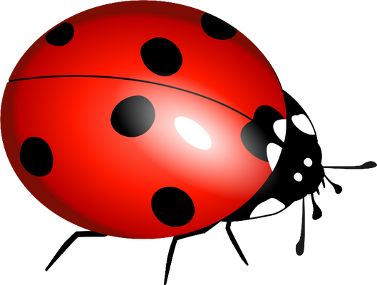 coccinelle - insecte - animaux - smiley émoticône émoji cartoon clipart illustration - artémotic