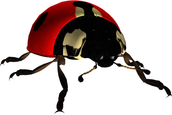 coccinelle - insecte - animaux - smiley émoticône émoji cartoon clipart illustration - artémotic