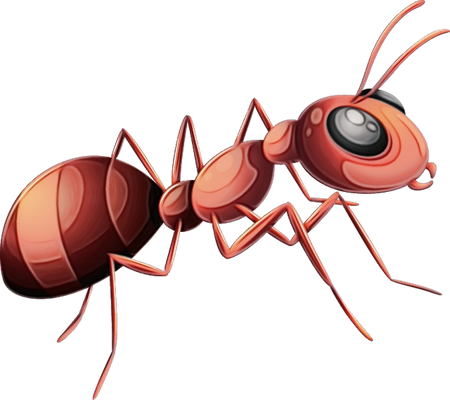 fourmi - insecte - animaux - smiley émoticône émoji cartoon clipart illustration - artémotic
