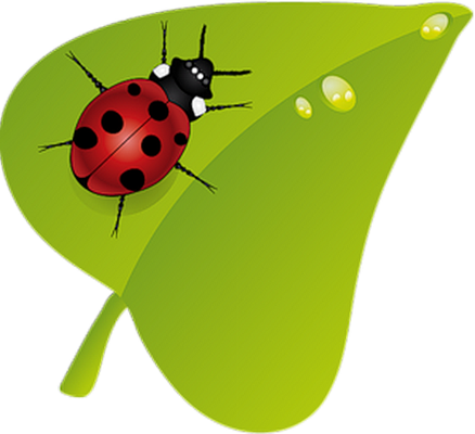 coccinelle - insecte - animaux - smiley émoticône émoji cartoon clipart illustration - artémotic