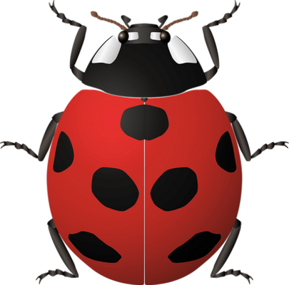 coccinelle - insecte - animaux - smiley émoticône émoji cartoon clipart illustration - artémotic