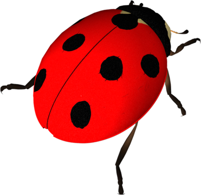 coccinelle - insecte - animaux - smiley émoticône émoji cartoon clipart illustration - artémotic