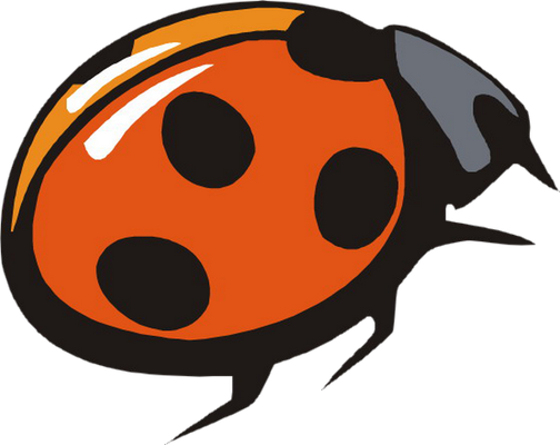 coccinelle - insecte - animaux - smiley émoticône émoji cartoon clipart illustration - artémotic