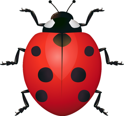 coccinelle - insecte - animaux - smiley émoticône émoji cartoon clipart illustration - artémotic