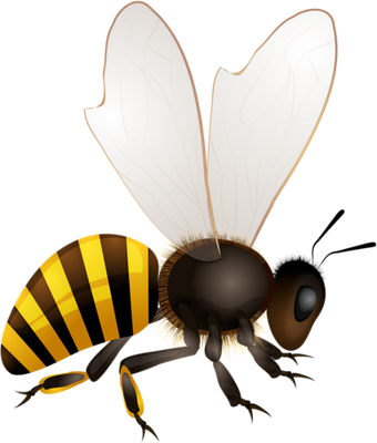 guêpe - insecte - animaux - smiley émoticône émoji cartoon clipart illustration - artémotic