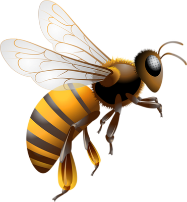 guêpe - insecte - animaux - smiley émoticône émoji cartoon clipart illustration - artémotic