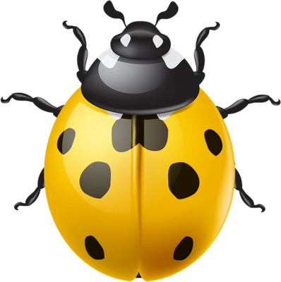 coccinelle - insecte - animaux - smiley émoticône émoji cartoon clipart illustration - artémotic