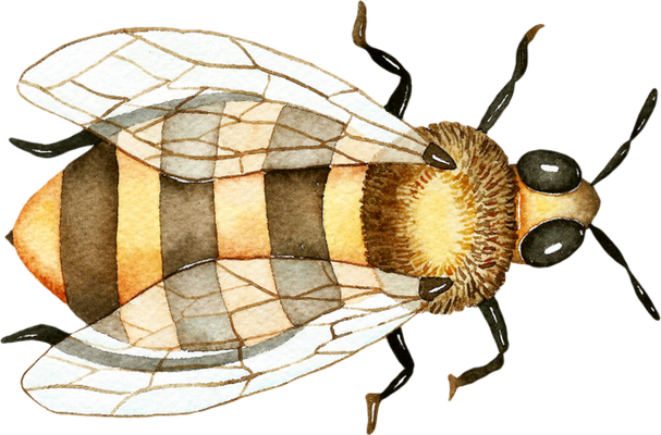 guêpe - insecte - animaux - smiley émoticône émoji cartoon clipart illustration - artémotic