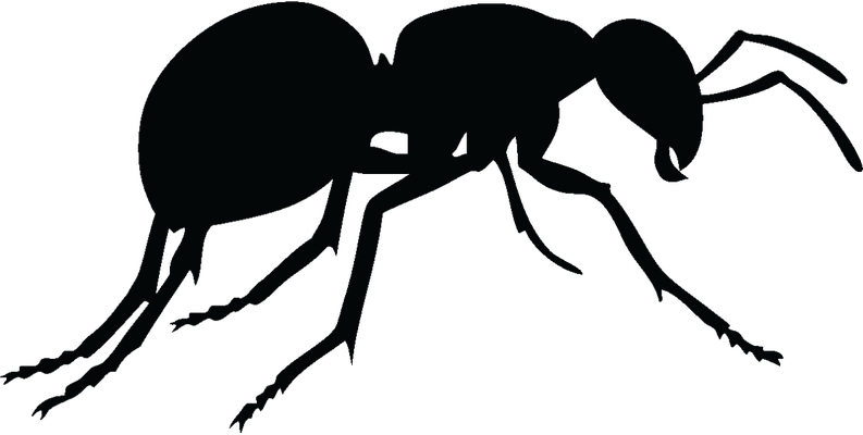 fourmi - insecte - animaux - smiley émoticône émoji cartoon clipart illustration - artémotic