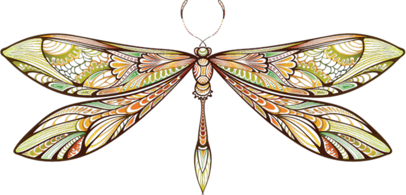 libellule - insecte - animaux - smiley émoticône émoji cartoon clipart illustration - artémotic