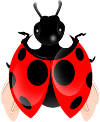 coccinelle - insecte - animaux - smiley émoticône émoji cartoon clipart illustration - artémotic