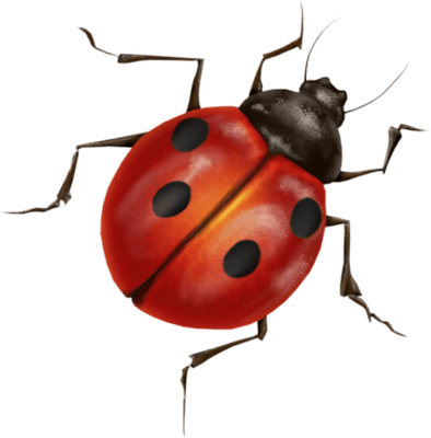 coccinelle - insecte - animaux - smiley émoticône émoji cartoon clipart illustration - artémotic