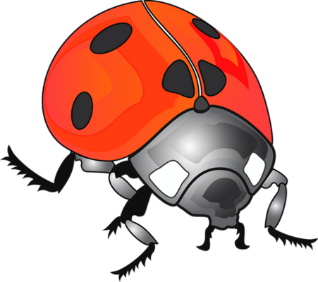 coccinelle - insecte - animaux - smiley émoticône émoji cartoon clipart illustration - artémotic