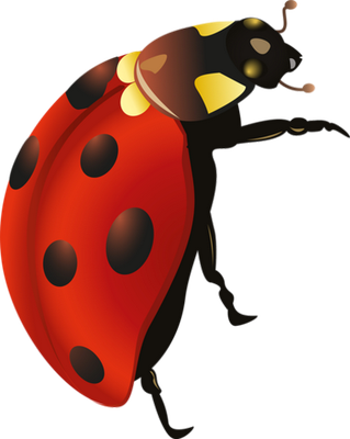 coccinelle - insecte - animaux - smiley émoticône émoji cartoon clipart illustration - artémotic
