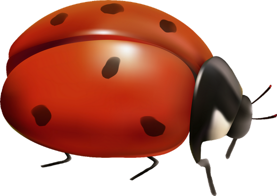 coccinelle - insecte - animaux - smiley émoticône émoji cartoon clipart illustration - artémotic