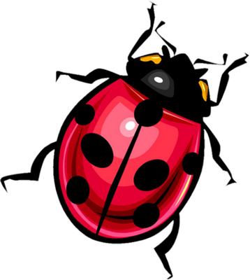 coccinelle - insecte - animaux - smiley émoticône émoji cartoon clipart illustration - artémotic