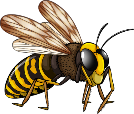 guêpe - insecte - animaux - smiley émoticône émoji cartoon clipart illustration - artémotic