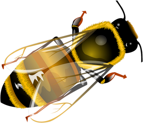 guêpe - insecte - animaux - smiley émoticône émoji cartoon clipart illustration - artémotic