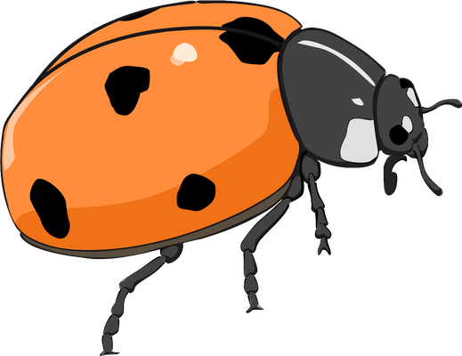 coccinelle - insecte - animaux - smiley émoticône émoji cartoon clipart illustration - artémotic
