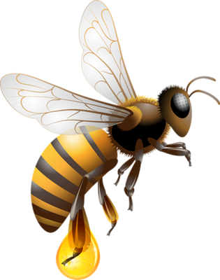 guêpe - insecte - animaux - smiley émoticône émoji cartoon clipart illustration - artémotic