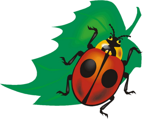 coccinelle - insecte - animaux - smiley émoticône émoji cartoon clipart illustration - artémotic