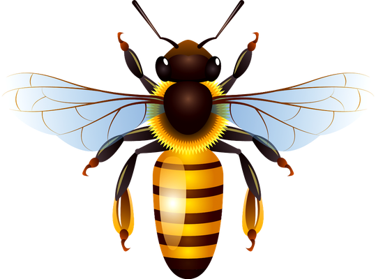 guêpe - insecte - animaux - smiley émoticône émoji cartoon clipart illustration - artémotic