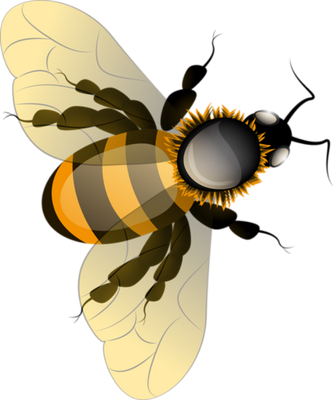 guêpe - insecte - animaux - smiley émoticône émoji cartoon clipart illustration - artémotic